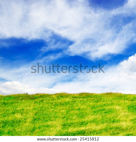 meadow covered by a grass