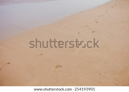 footstep track on sand  the coral sandy beach