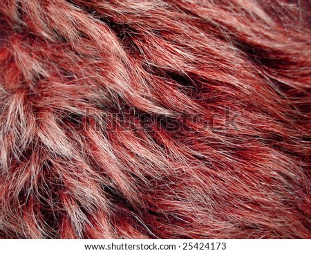 texture of fur red