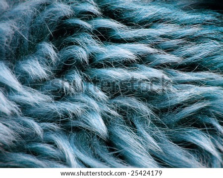 texture of fur blue