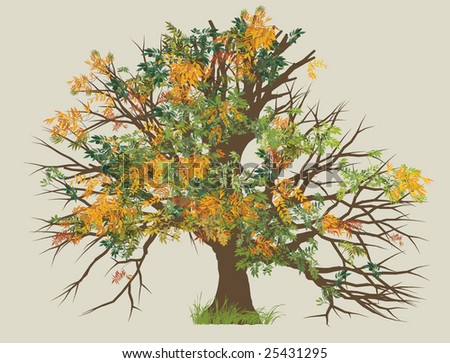 autumn tree