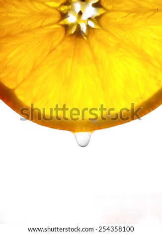 the orange slice on a transparent background with a drop