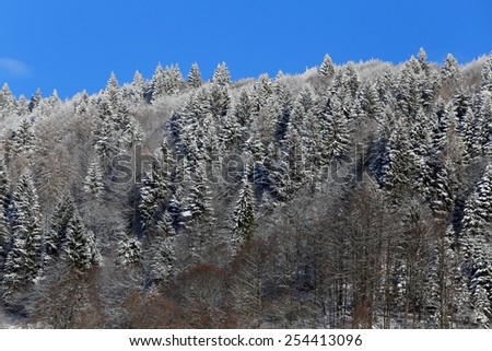 mountain landscape with snow and trees