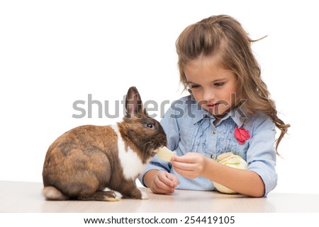 Little cute girl feeding brown bunny with cabbage, isolated on white background