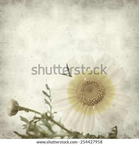 textured old paper background with garland chrysanthemum