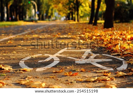 Road for bicycle in autumn with white line and yellow fallen leafs on the road
