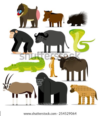 Vector Set Of Different African Animals Isolated