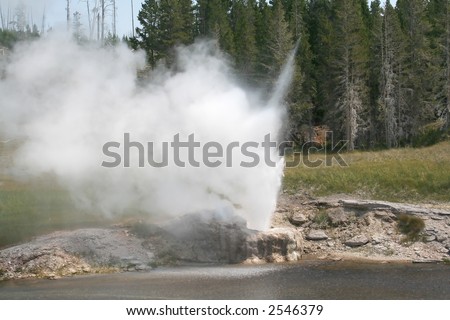 A geyser going off at Yellowstone National Park.