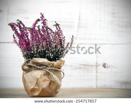bouquet of heather on white wooden background