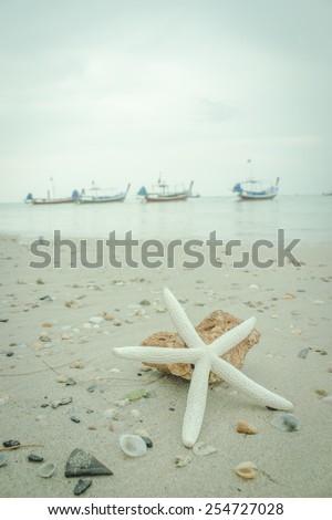 Starfish on the beach with vintage filter style