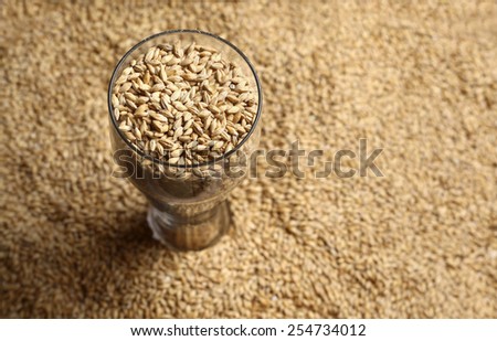 Tall beer glass with barley malt grains on a layer of malt Royalty-Free Stock Photo #254734012