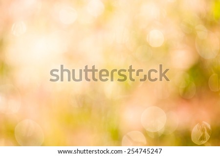 bokeh blurry natural abstract green background