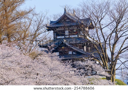 Cherry blossoms at the Takada Park and the Takada Castle in Joetsu city, Niigata, Japan Royalty-Free Stock Photo #254788606