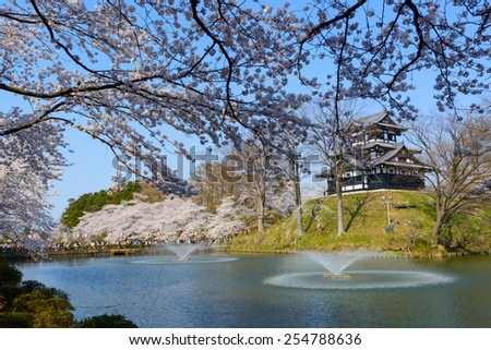 Cherry blossoms at the Takada Park and the Takada Castle in Joetsu city, Niigata, Japan Royalty-Free Stock Photo #254788636