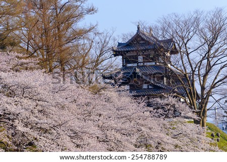 Cherry blossoms at the Takada Park and the Takada Castle in Joetsu city, Niigata, Japan Royalty-Free Stock Photo #254788789