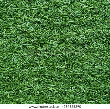 artificial Grass