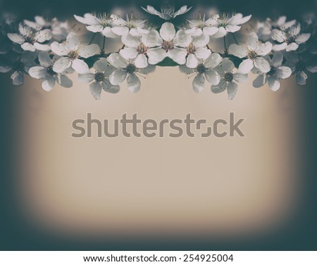 Vintage cherry blossoms background