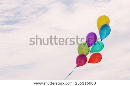 colorful balloons on the background of sky