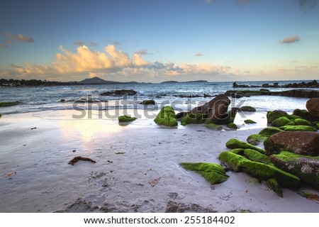 Rock, Sea, Tropical beach at Chaweng Beach, Koh Samui, Thailand