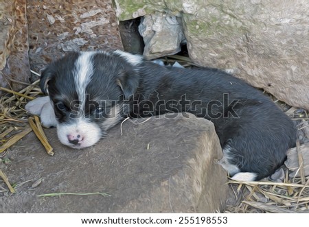 A cute farm puppy is lying between two stones in its pen, stylized and filtered to look like an oil painting