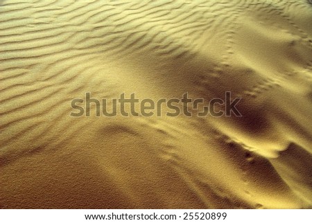 Wind patterns in the sand