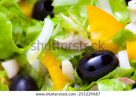 Assorted salad of green leaf lettuce with squid and black olives, close up