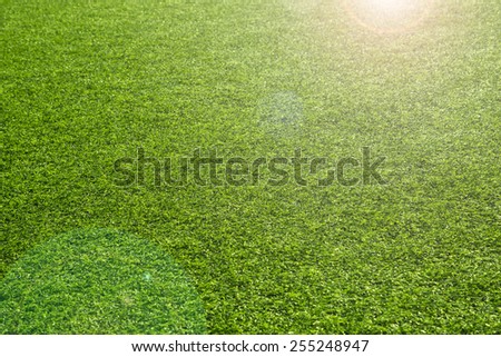 Sunny artificial green grass background with sun flare. Selective focus used.