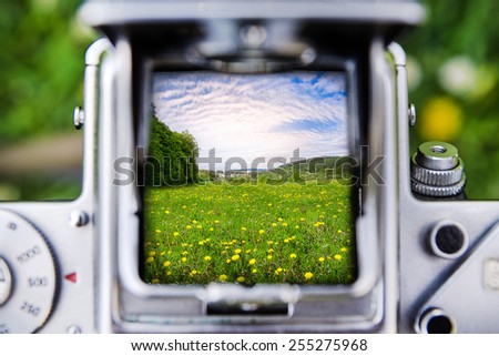 Taking a picture through the old camera on meadow with yellow dandelion flowers