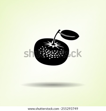 Mandarin icon. Three fruits. Black silhouette with shadow on light green background. Flat design. Vector isolated