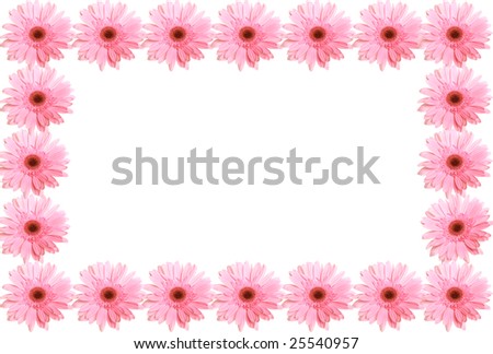 Framework from pink flowers gerbera