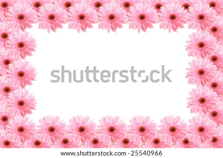 Framework from pink flowers gerbera