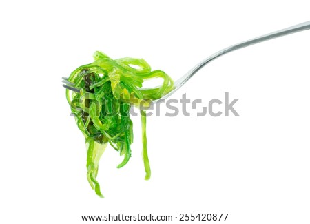 Wakame edible seaweed on a fork on a white background