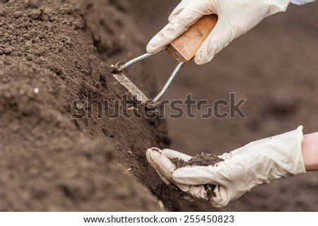 Close-up of a young researcher technician woman hands in greenhouse,in uniform, holding soil . Bio food production. 