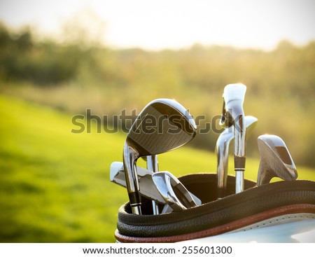 Golf clubs drivers over green field background. Summer sunset Royalty-Free Stock Photo #255601300