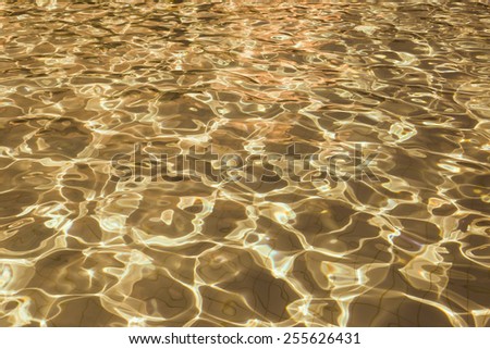 Patterned gold surface water in the pool.