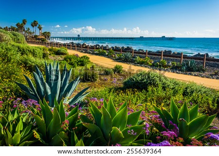 Colorful flowers and view of the fishing pier at Linda Lane Park, in San Clemente, California. Royalty-Free Stock Photo #255639364