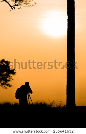 Silhouette photographer near the tree.