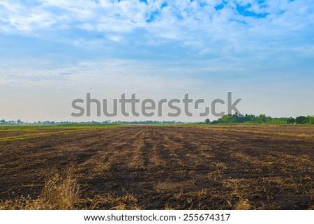 abandoned fields