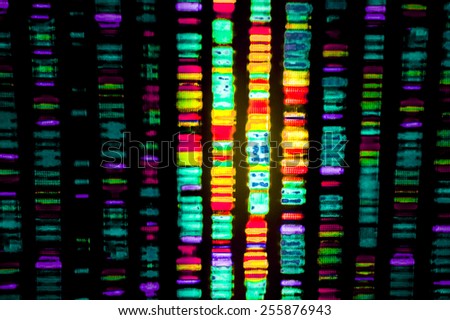 DNA sequence Royalty-Free Stock Photo #255876943