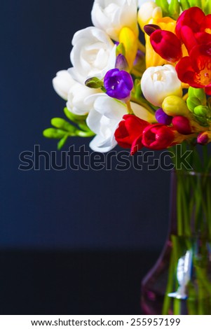 beautiful  bouquet  flowers freesia in black holiday  background  8 March