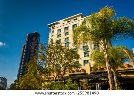 Palm trees and buildings in San Diego, California.