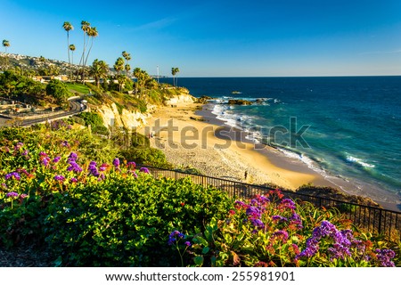 Flowers and view of the Pacific Ocean at Heisler Park, in Laguna Beach, California. Royalty-Free Stock Photo #255981901