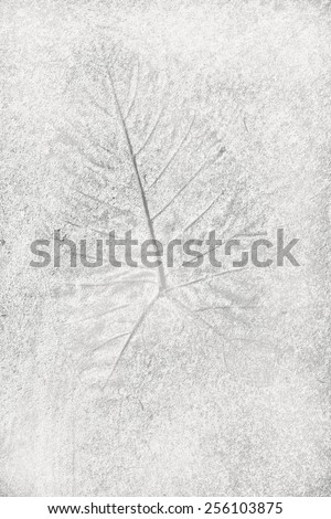 cement texture - decorated with flowers inlaid set into a surface - black and white gray background pattern soft focus