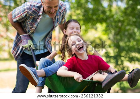 Happy father and his children playing with a wheelbarrow on a sunny day Royalty-Free Stock Photo #256121332