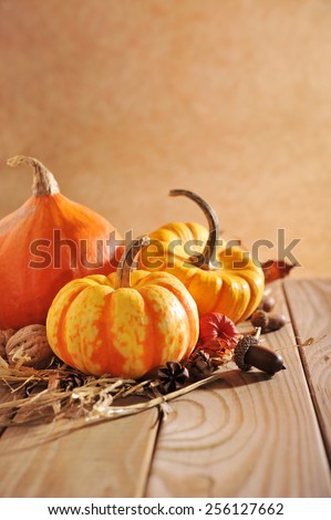 three pumpkins on old weathered wood grain with brown background with high-key-light from the side