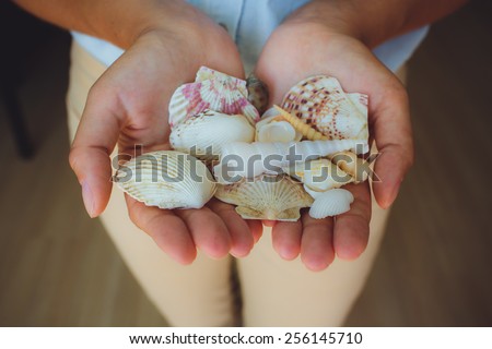 in human hands, women holding beautiful seashells, cone, starfish