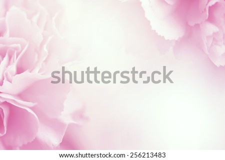 flower on soft pastel color in blur style