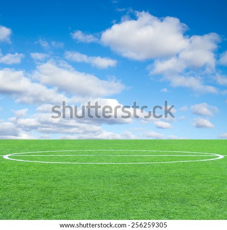 Soccer green grass field at the background of the sky