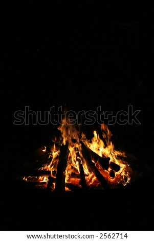 burning log wood with black background