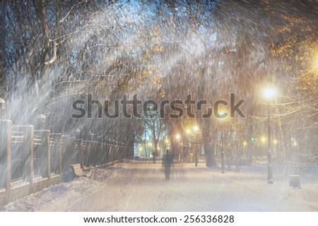 Severe weather in Kiev citizens favorite park, twilight hid fog and snowfall old trees, fall asleep benches, lights shine through the mist, a strong wind blows snowflakes quickly through the branches